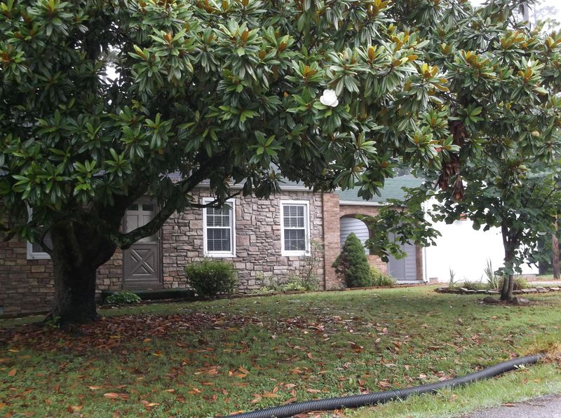 306 Long Dr, Harriman, TN 37748