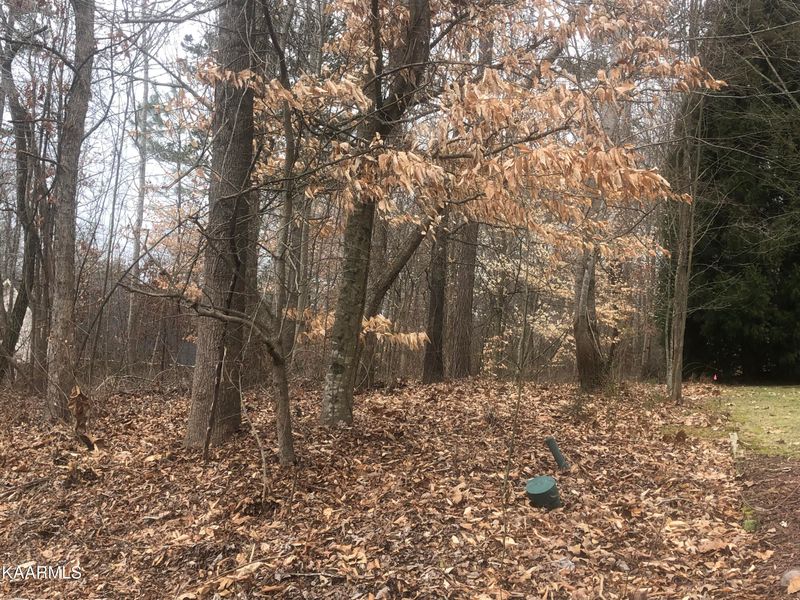 306 Uhdali Pl, Loudon, TN 37774