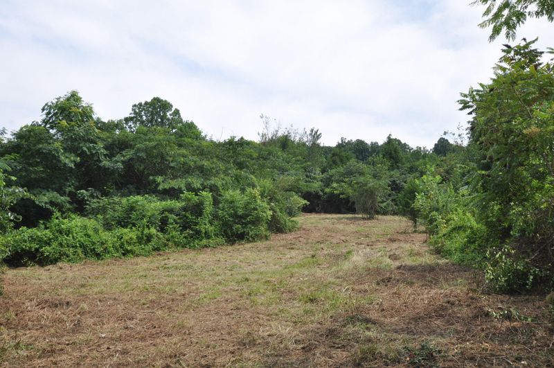 3060 White Wing Rd, Lenoir City, TN 37771