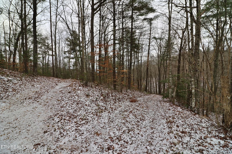 3063 Leatherwood Rd, Oneida, TN 37841
