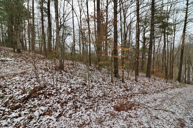 3063 Leatherwood Rd, Oneida, TN 37841
