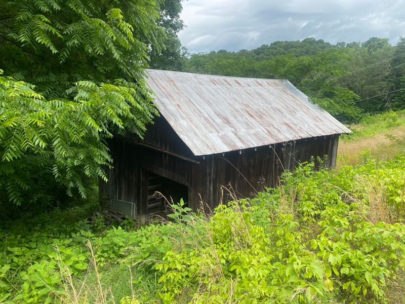 3069 Oak Grove Rd, Rocky Top, TN 37769