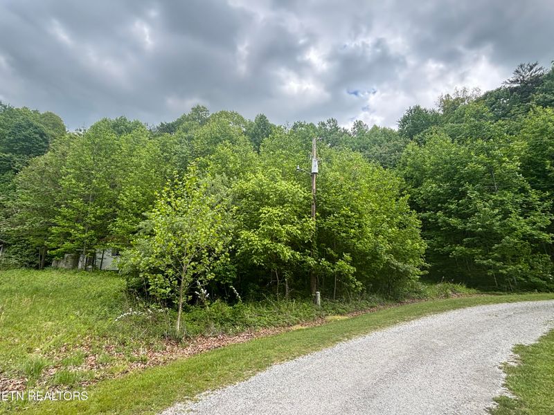 307 Huckleberry Ln, Duff, TN 37729