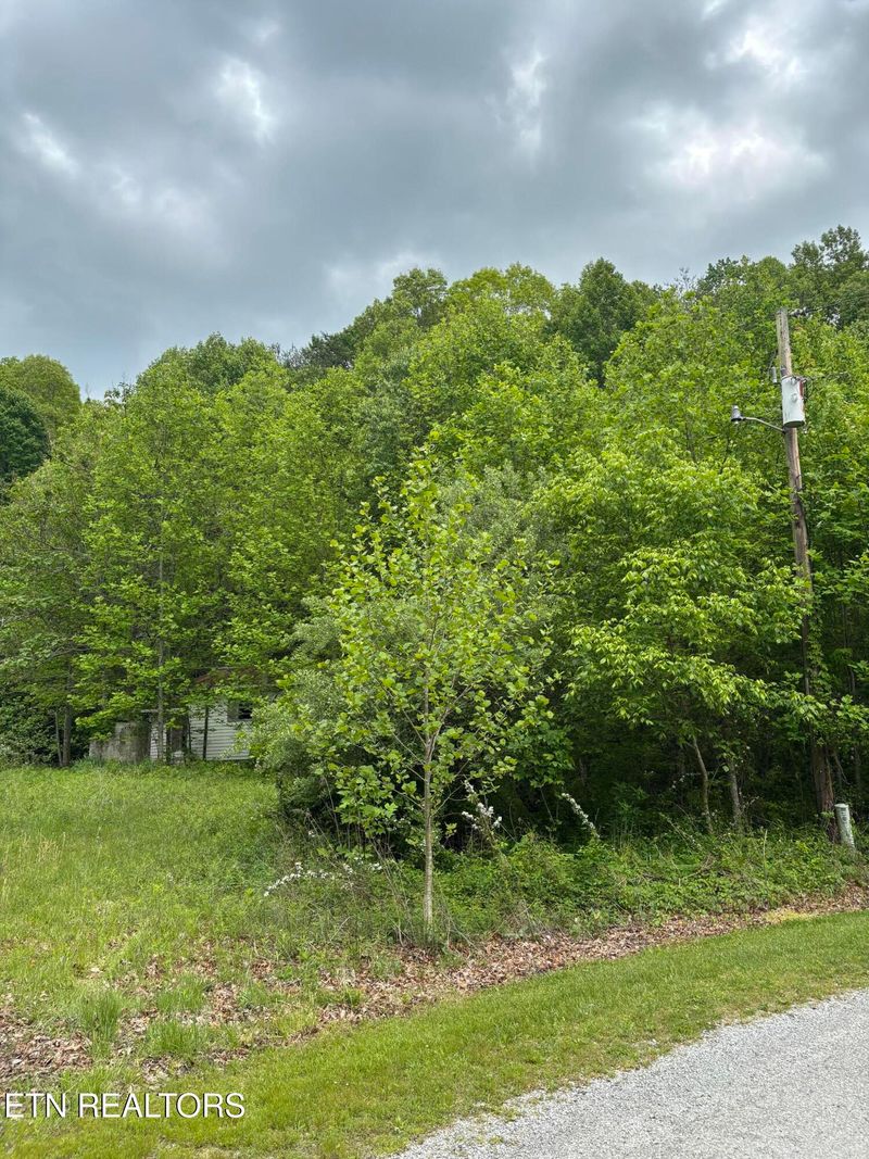 307 Huckleberry Ln, Duff, TN 37729