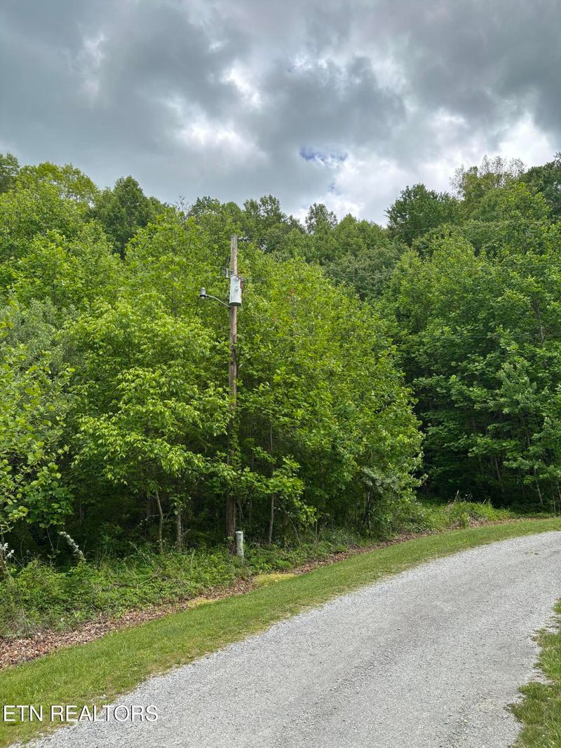 307 Huckleberry Ln, Duff, TN 37729