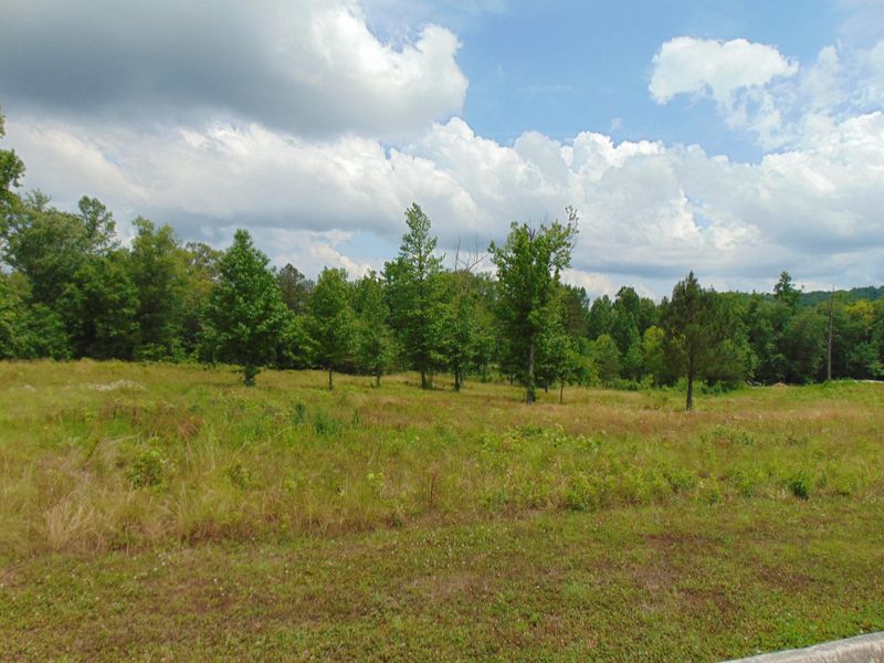 307 Sunset Dr, Harriman, TN 37748