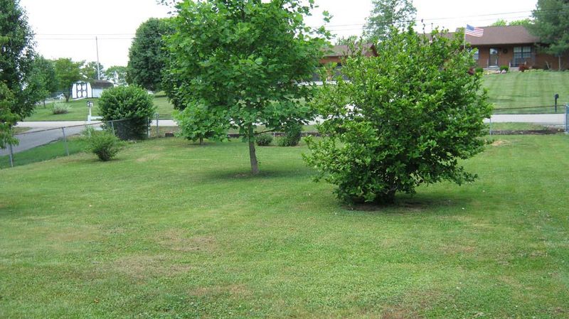 308 Bagwell Rd, Knoxville, TN 37924