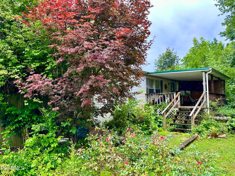308 Cade Rd, Ten Mile, TN 37880