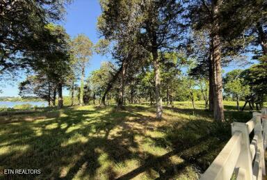 308 Mcreynolds Rd Lot 5, Friendsville, TN 37737