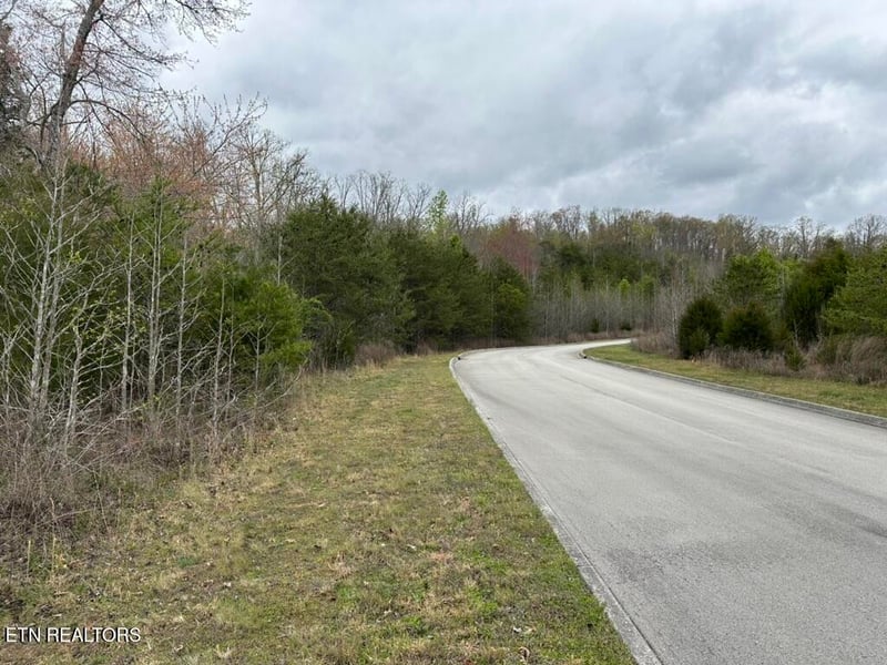 309 Caney View Dr, Harriman, TN 37748