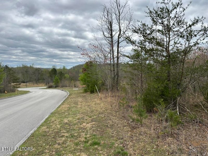 309 Caney View Dr, Harriman, TN 37748