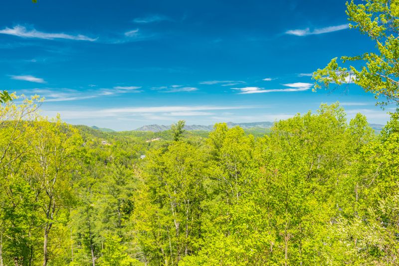 309 Slate Quarry Point Rd, Townsend, TN 37882