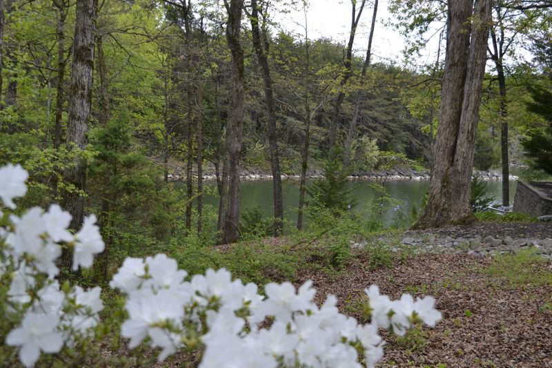 310 Amohi Ln, Loudon, TN 37774