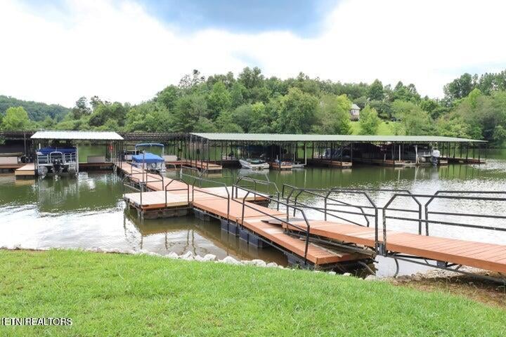 310 Caney View Dr, Harriman, TN 37748