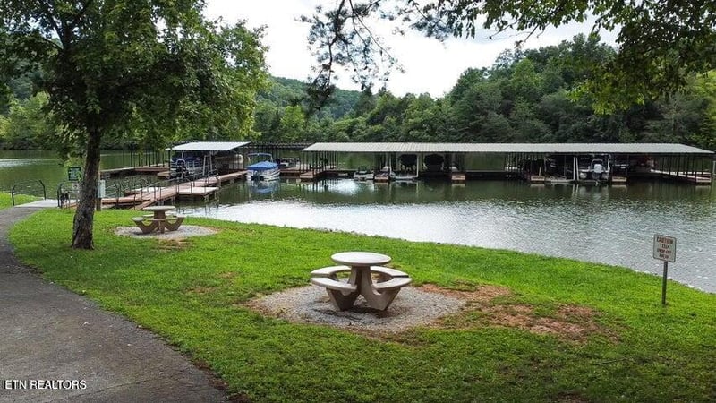 310 Caney View Dr, Harriman, TN 37748