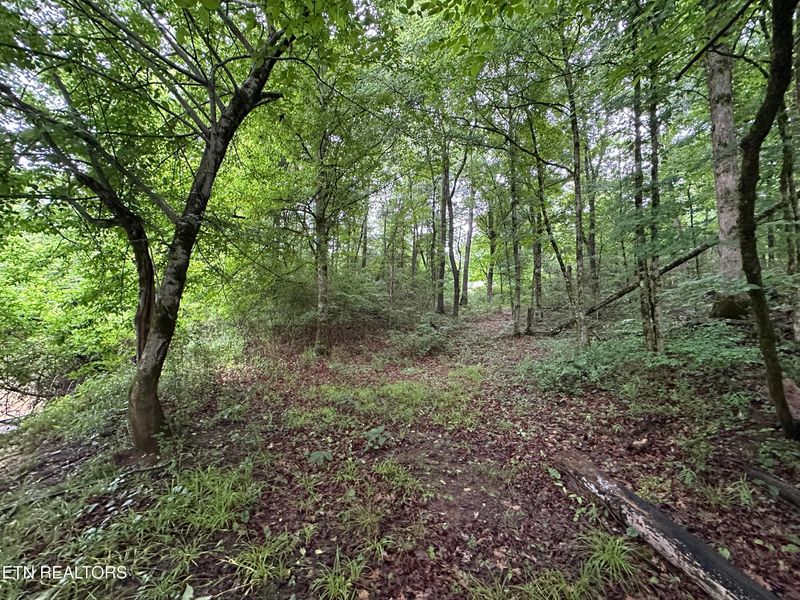 310 County Road 616, Athens, TN 37303