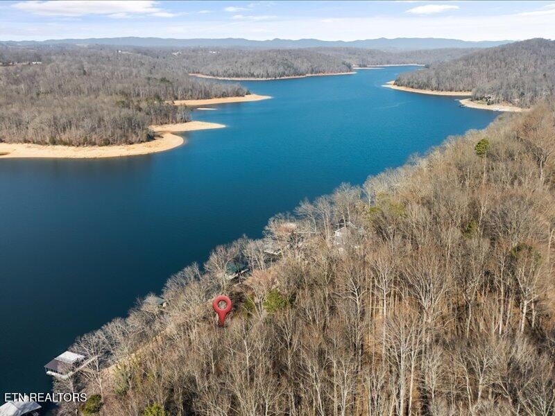 310 Hagaman Ln, Andersonville, TN 37705