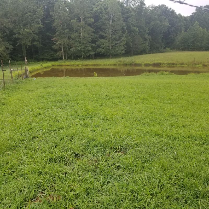 310 Heidel Rd, Wartburg, TN 37887