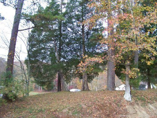 310 Spring St, Kingston, TN 37763