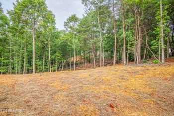 310 Valley Dr, Loudon, TN 37774