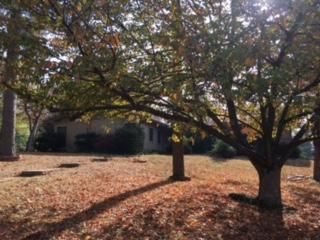 3104 Culpepper Rd, Knoxville, TN 37917