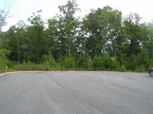 3107 Mountain Grace Ln, Sevierville, TN 37862