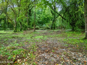 3109 Landview Dr, Knoxville, TN 37914
