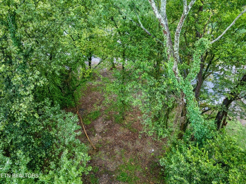3109 Landview Dr, Knoxville, TN 37914