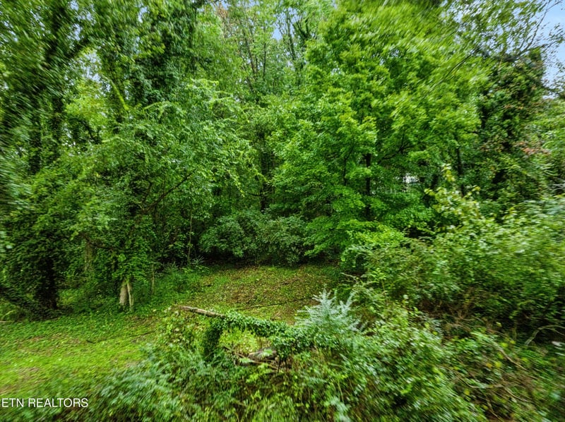 3109 Landview Dr, Knoxville, TN 37914