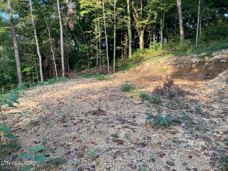 311 W Chestnut St, Lafollette, TN 37766