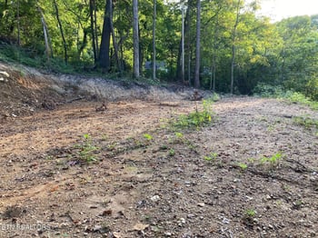 311 W Chestnut St, Lafollette, TN 37766