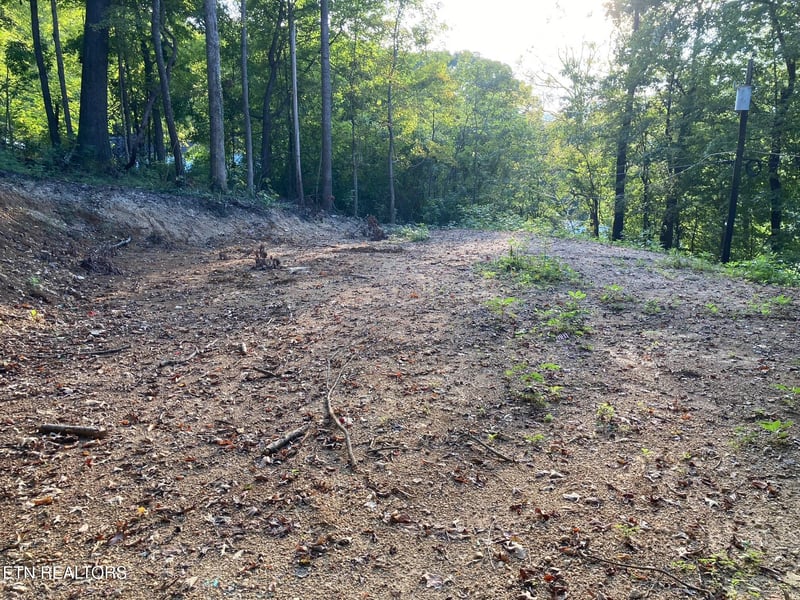 311 W Chestnut St, Lafollette, TN 37766