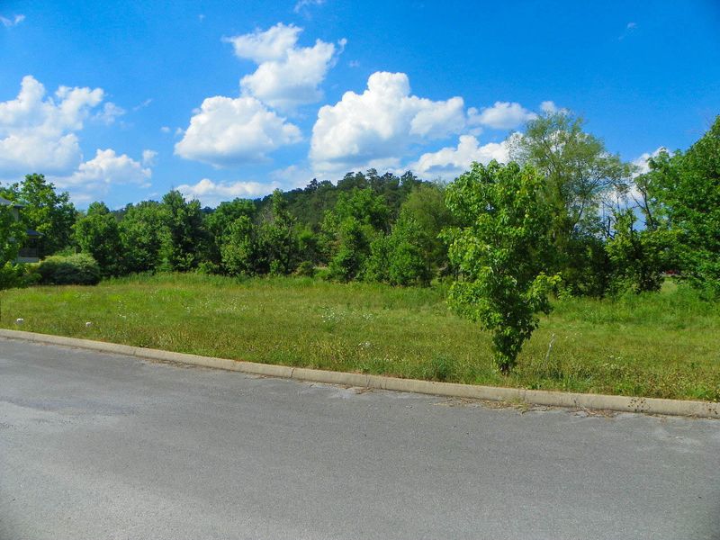 3110 Cherokee Valley Dr, Pigeon Forge, TN 37862