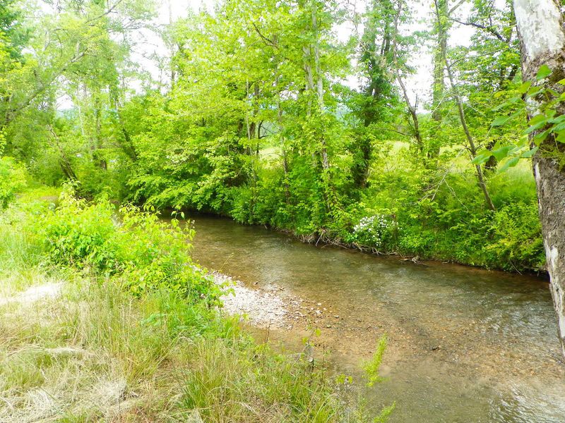 3110 Cherokee Valley Dr, Pigeon Forge, TN 37862