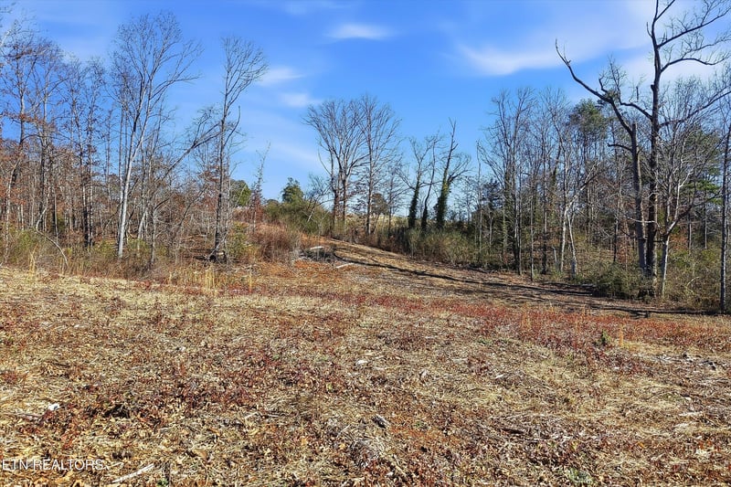 3110 Miser School Rd, Friendsville, TN 37737