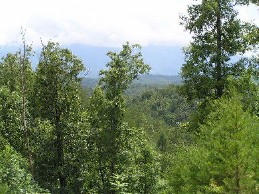3111 Mountain Grace Ln, Sevierville, TN 37862