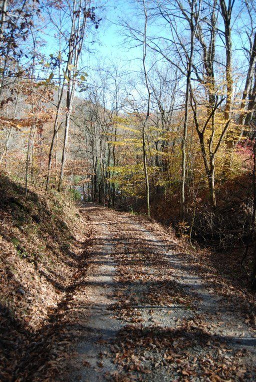 3115 Miller Rd, Powell, TN 37849