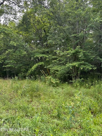 3119 Crow Dr, Crossville, TN 38572