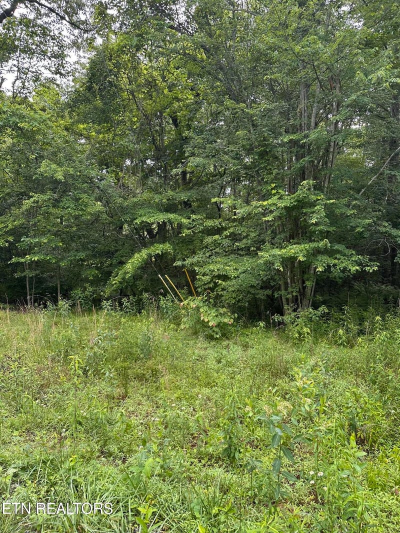 3119 Crow Dr, Crossville, TN 38572