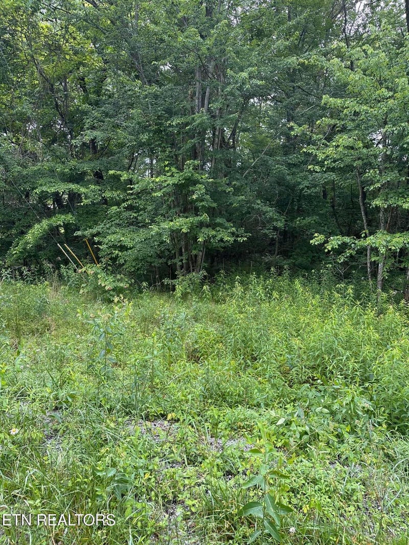 3119 Crow Dr, Crossville, TN 38572