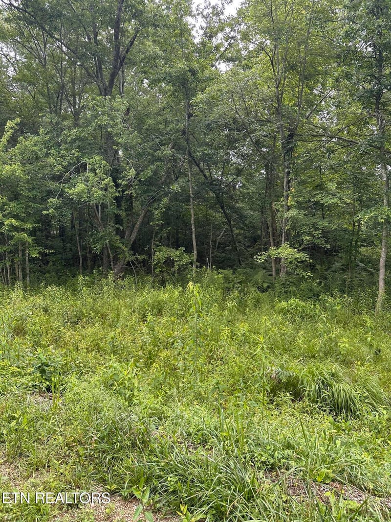 3119 Crow Dr, Crossville, TN 38572
