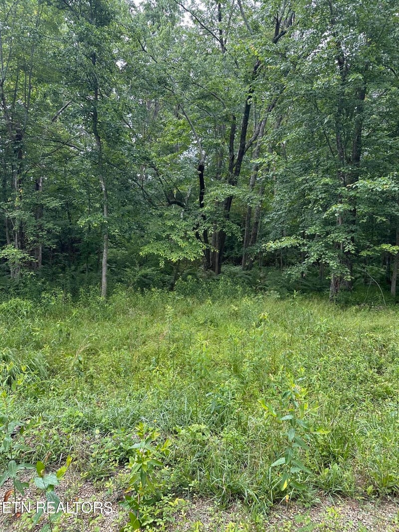 3119 Crow Dr, Crossville, TN 38572