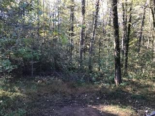 312 Eagle Ridge Dr, Rockwood, TN 37854