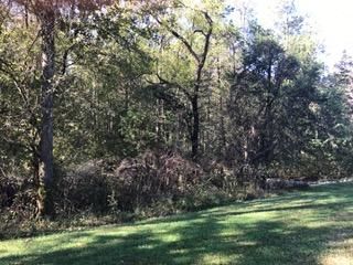 312 Eagle Ridge Dr, Rockwood, TN 37854