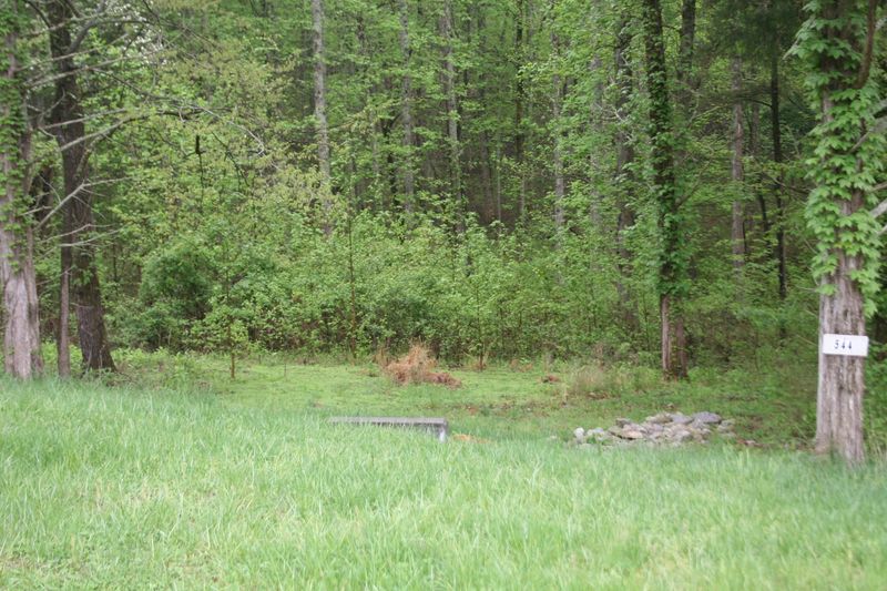 312 Eagle Ridge Rd, Rockwood, TN 37854