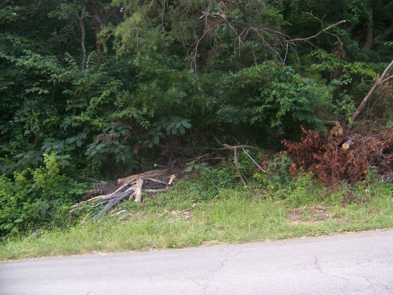 312 S Long Hollow Rd, Maryville, TN 37801