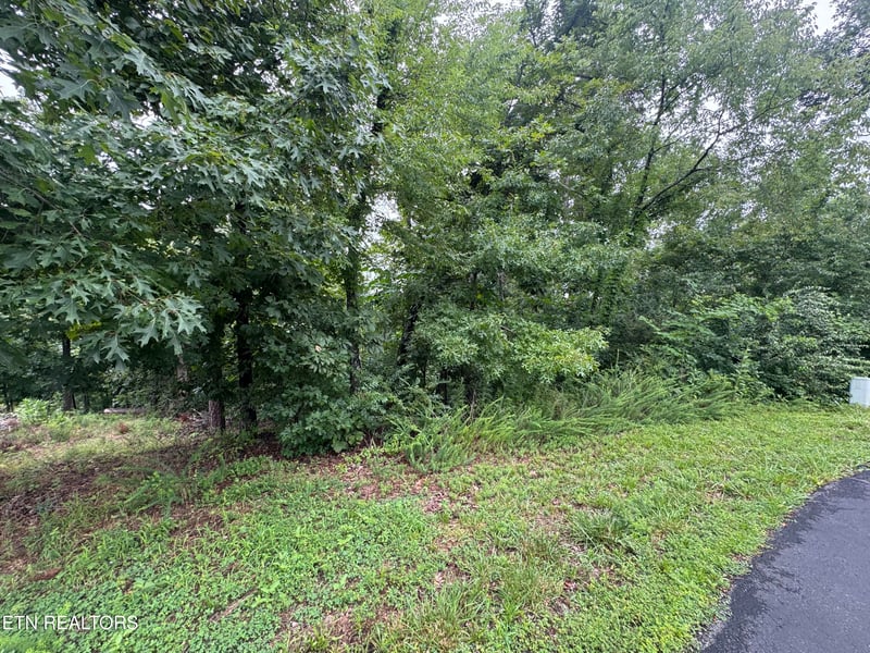 312 Skiatook Cir, Loudon, TN 37774