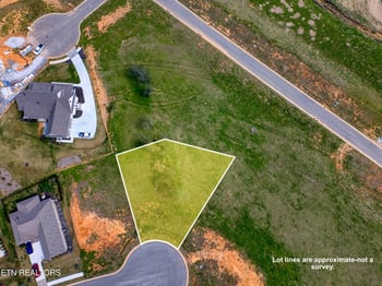 313 17th Way Dr, Loudon, TN 37774