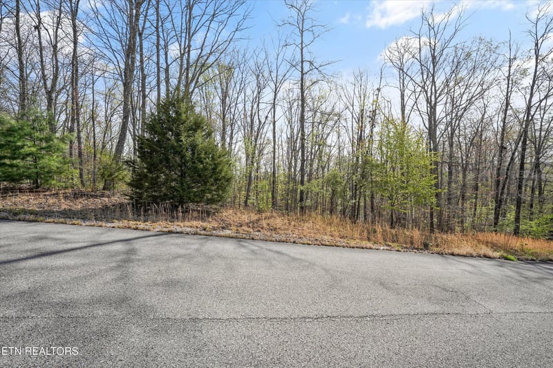 313 Country Wood Pl, Harriman, TN 37748