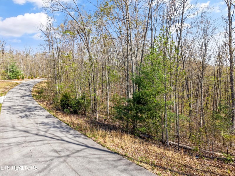 313 Country Wood Pl, Harriman, TN 37748